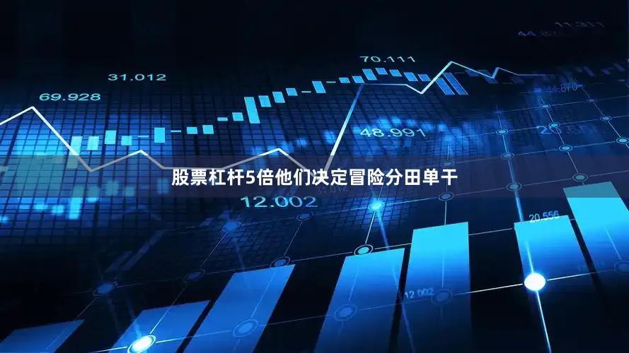 股票杠杆5倍他们决定冒险分田单干