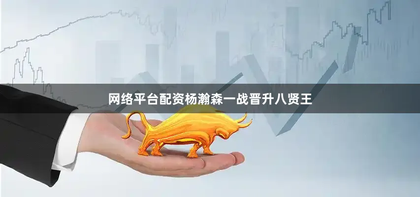 网络平台配资杨瀚森一战晋升八贤王