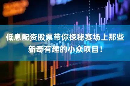 低息配资股票带你探秘赛场上那些新奇有趣的小众项目！