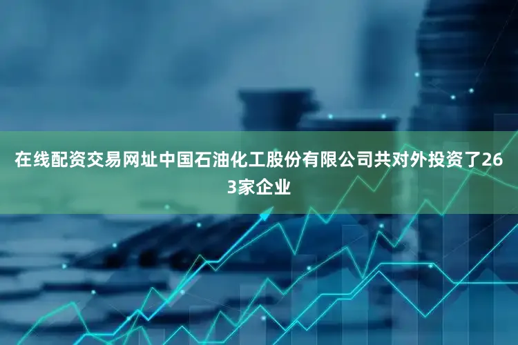 在线配资交易网址中国石油化工股份有限公司共对外投资了263家企业